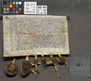 Friedberg: Satz und Ordnung zwischen der Burg Friedberg und der Stadt Friedberg auf elf Jahre gemacht