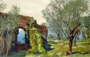 Ansicht einer Ruine in einem Olivenhain
