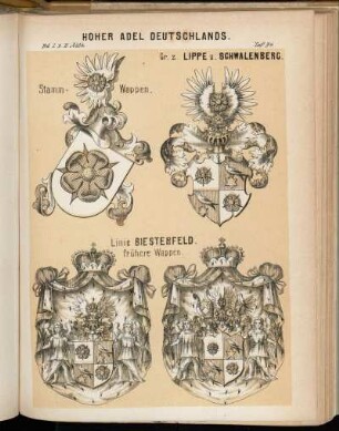 Taf. 34. Gr. z. Lippe u. Schwalenberg. Stamm-Wappen. - Linie Biesterfeld. frühere Wappen.