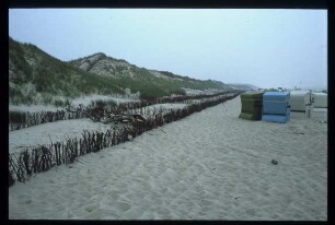 Heckenlagenbau als Dünenschutz/Sylt