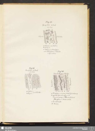 [Fig. 38 - 40]