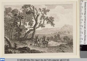 Landschaft
