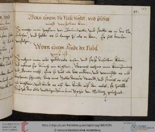 18 Rezepte gegen Krankheiten der Nase, Ohren und gegen Mundgeruch