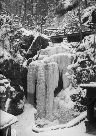 Sächsische Schweiz. Amselgrund. Amselfall als Eiskaskade