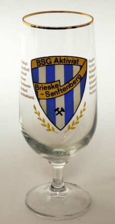 BSG Aktivitist Brieske-Senftenberg