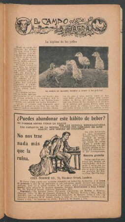 La higiene de los pollos : El campo y la chacra