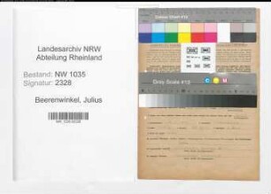 Entnazifizierung Julius Beerenwinkel , geb. 14.02.1902 (Technischer Angestellter)