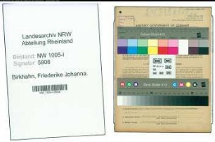 Entnazifizierung Friederike Johanna Birkhahn , geb. 05.04.1906 (Steno-Kontoristin)