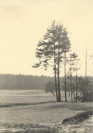 Landschaft : Landschaft, die dem Tagebau zum Opfer fiel
