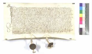 Lehenrevers über ein Gut zu Weinstetten gegen Kloster Wiblingen (Hans Völck)