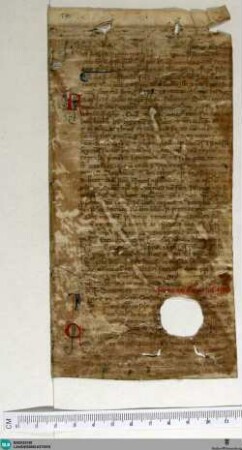Aus einem Formularium instrumentorum et variorum processuum, Fragment - Cod. Aug. Fr. 170