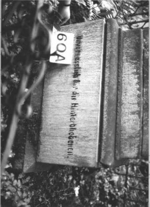 Grabstein 60 (Index: 100112764) Zustand: Inschrifttafel fehlt, Sockel beschriftet Maße HxBxT: 200x85x52 cm: Grabstein 60A
