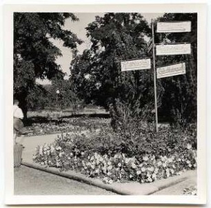 Deutsche Gartenschau 1950 auf dem Killesberg, Stuttgart: Wegweiser