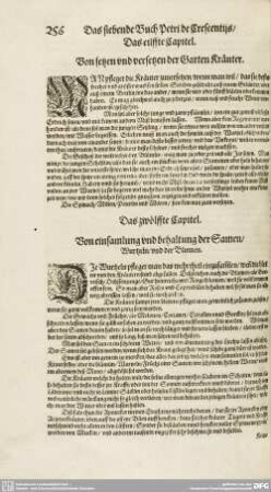 Das eilffte Capitel. - Das zwentzigste Capitel.