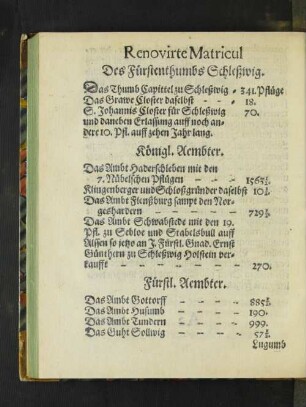 Renovirte Matricul Des Fürstenthumbs Schleßwig.