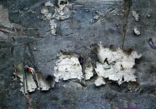 Die Schatten erinnern an nichts