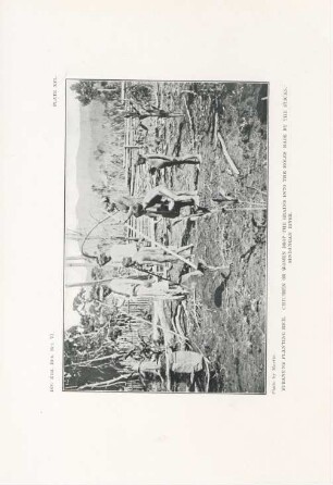 Plate XVI. Subanuns planting rice. Childreen or women drop the grains ...