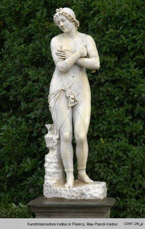 Andromeda