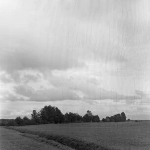 Landschaftsbild. Märkische Landschaft. : Wobraz krajiny. Markowska krajina.