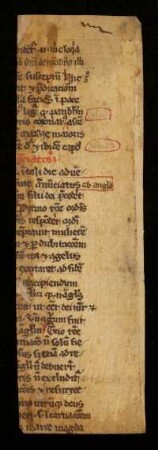 [Jacobus de Voragine: Legenda aurea]