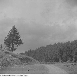 Landschaft