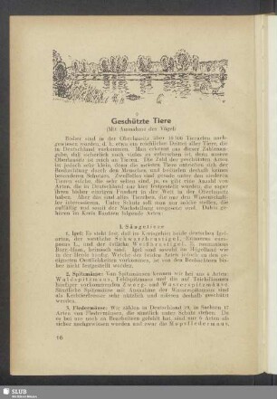Geschützte Tiere (Mit Ausnahme der Vögel)