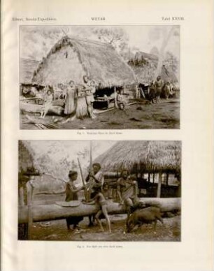 Tafel XXVIII. Wetar. Fig. 1. Welemur-Haus im Dorf Aûwa. Fig. 2. Ein Idyll aus dem Dorf Aûwa