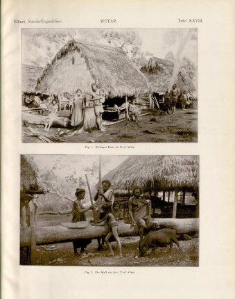 Tafel XXVIII. Wetar. Fig. 1. Welemur-Haus im Dorf Aûwa. Fig. 2. Ein Idyll aus dem Dorf Aûwa