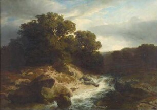 Bäume am Bergstrom