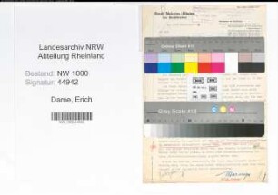Entnazifizierung Erich Dame, geb. (Schweisser)