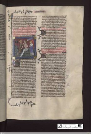 Novum Testamentum