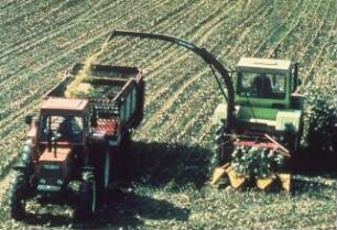 Fotografie: Erntetechnik, Silomais, Maishäcksler angebaut, Rückfahreinrichtung, Parallelverfahren, Scheibenradfeldhäcksler