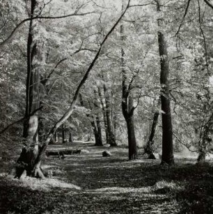 Landschaftsgarten, Machern (Kreis Wurzen)