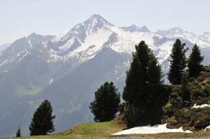 Wandergebiet Penken bei Mayrhofen : Aufgenommen im Wandergebiet Penken bei Mayrhofen (Tirol) am 26. Mai 2009