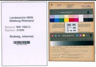 Entnazifizierung Johannes Bodewig, geb. 30.11.1901 (Kunsthaendler)
