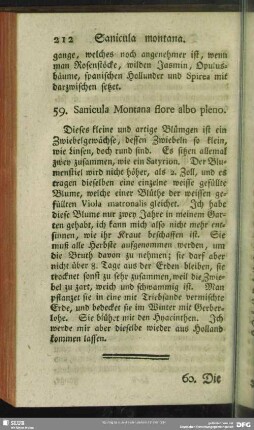 59. Sanicula Montana flore albo pleno