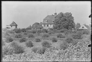 Meißen. Genesungsh.-u. Altersheim Domprobstberg