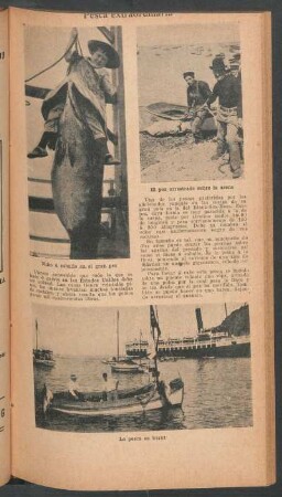 Pesca extraordinaria