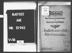 Landesturnanstalt, Tätigkeitsberichte