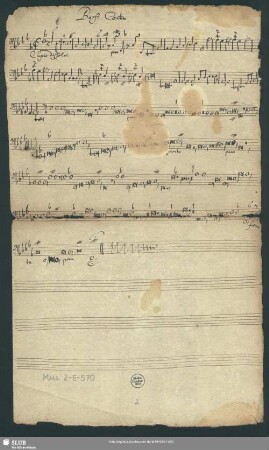 Bass[o]: Contin[uo]: [= b bez.]