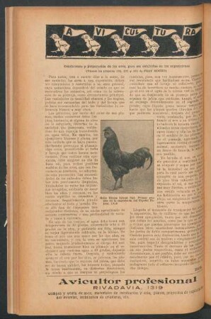 Avicultura : Condiciones y preparación de las aves, para ser exhibidas en las exposiciones - (Véase los números 102, 103 y 104 de Fray Mocho)