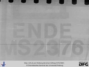 MF Mau 2376