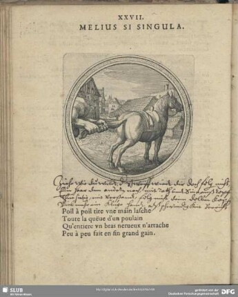 XXVII. Melius Si Singula