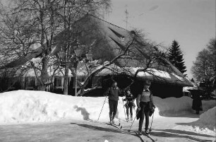 Hinterzarten: Eiszapfen am alten Schwarzwaldhof; Hotel Adler