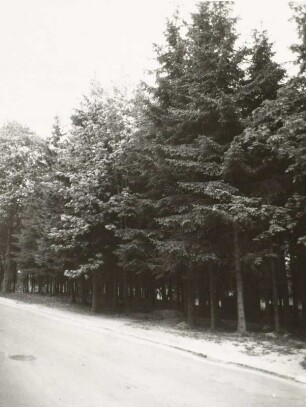 Straße, Johanngeorgenstadt