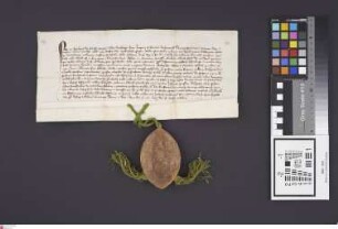 Bensheimer Hof: Concensus ........ Moguntinae sedis Archiepiscopi super locationem sedecim jugerum terrae arrabilis in terminis olim villae Buensh...