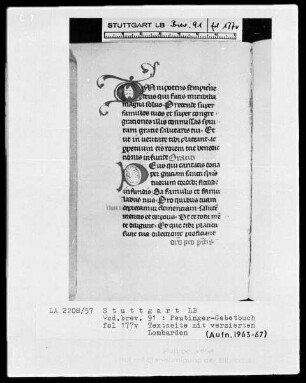 Gebetbuch des Konrad Peutinger — Initialen O und D, Folio 177verso