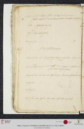 g. Harn u. Geschlechtsorgane