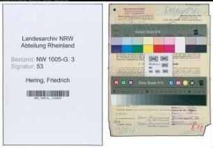 Entnazifizierung Friedrich Hering , geb. 06.08.1901 (Huettenmeister)