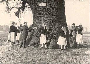 Tracht aus Straupitz : Kleidung - niedersorbische Tracht. Ort: Tšupc / Straupitz. Jugendliche in der Straupitzer Tracht (um die Florentiner-Eiche)